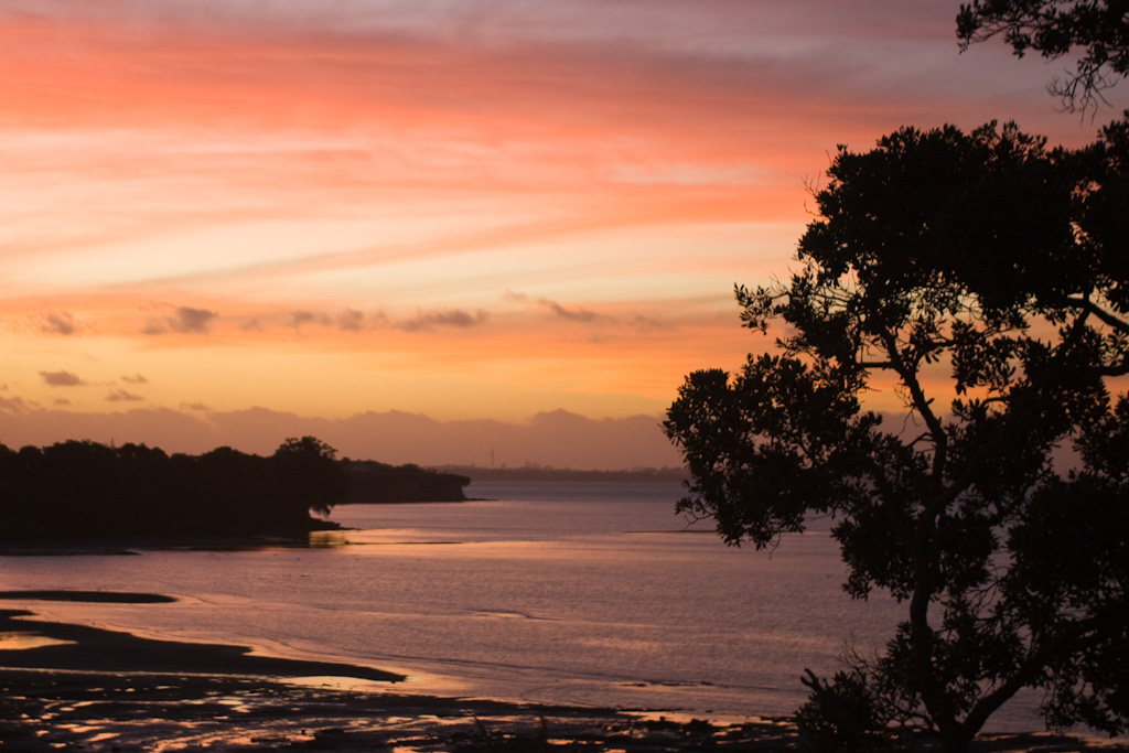 Auckland Skyline Sunset