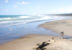 Surfen in Neuseeland Muriwai Beach