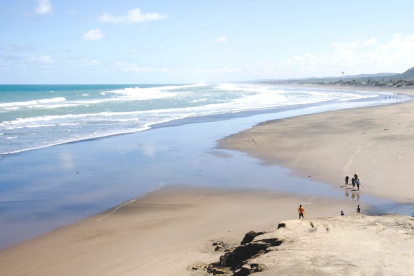 Surfen in Neuseeland Muriwai Beach