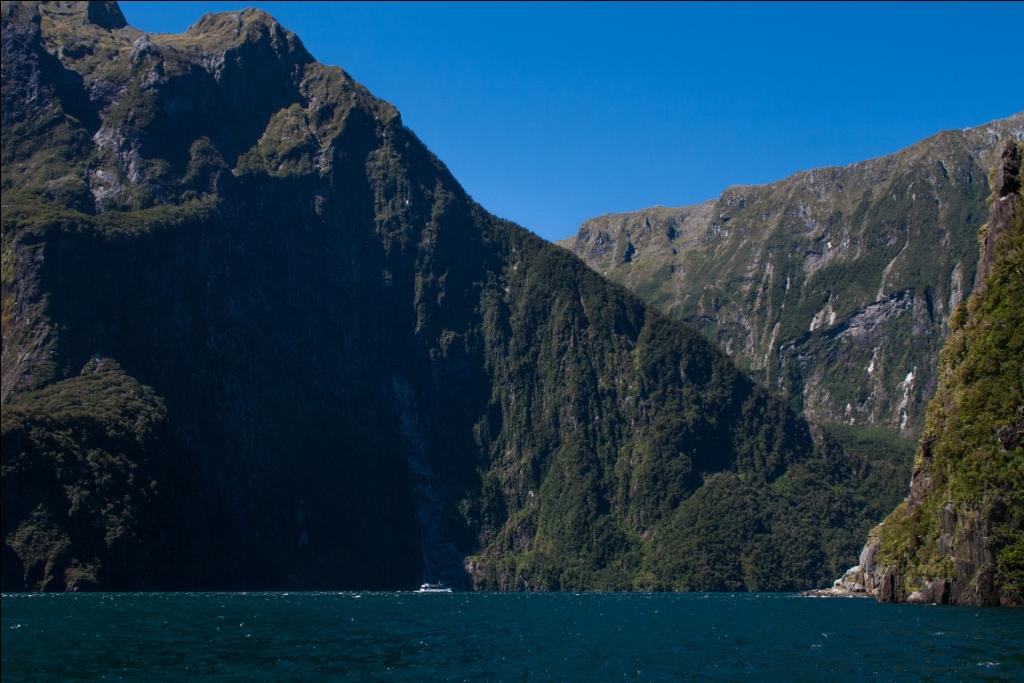 Milford Sound Neuseeland Bootstour