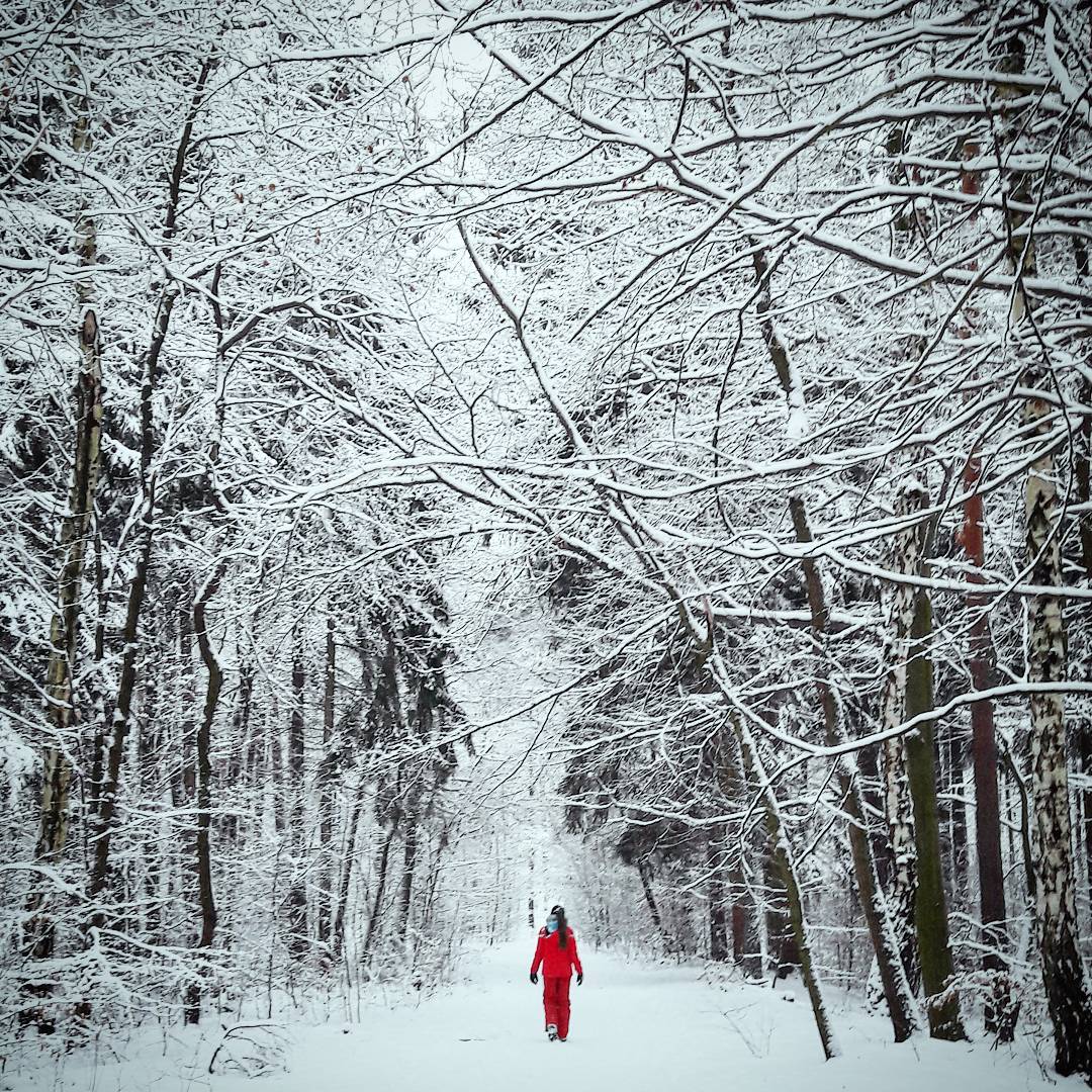 Winter Dresdner Heide