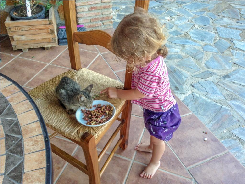 Andalusien mit Kindern Kätzchen
