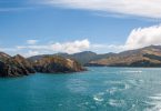 Interislander oder Bluebridge Fähre