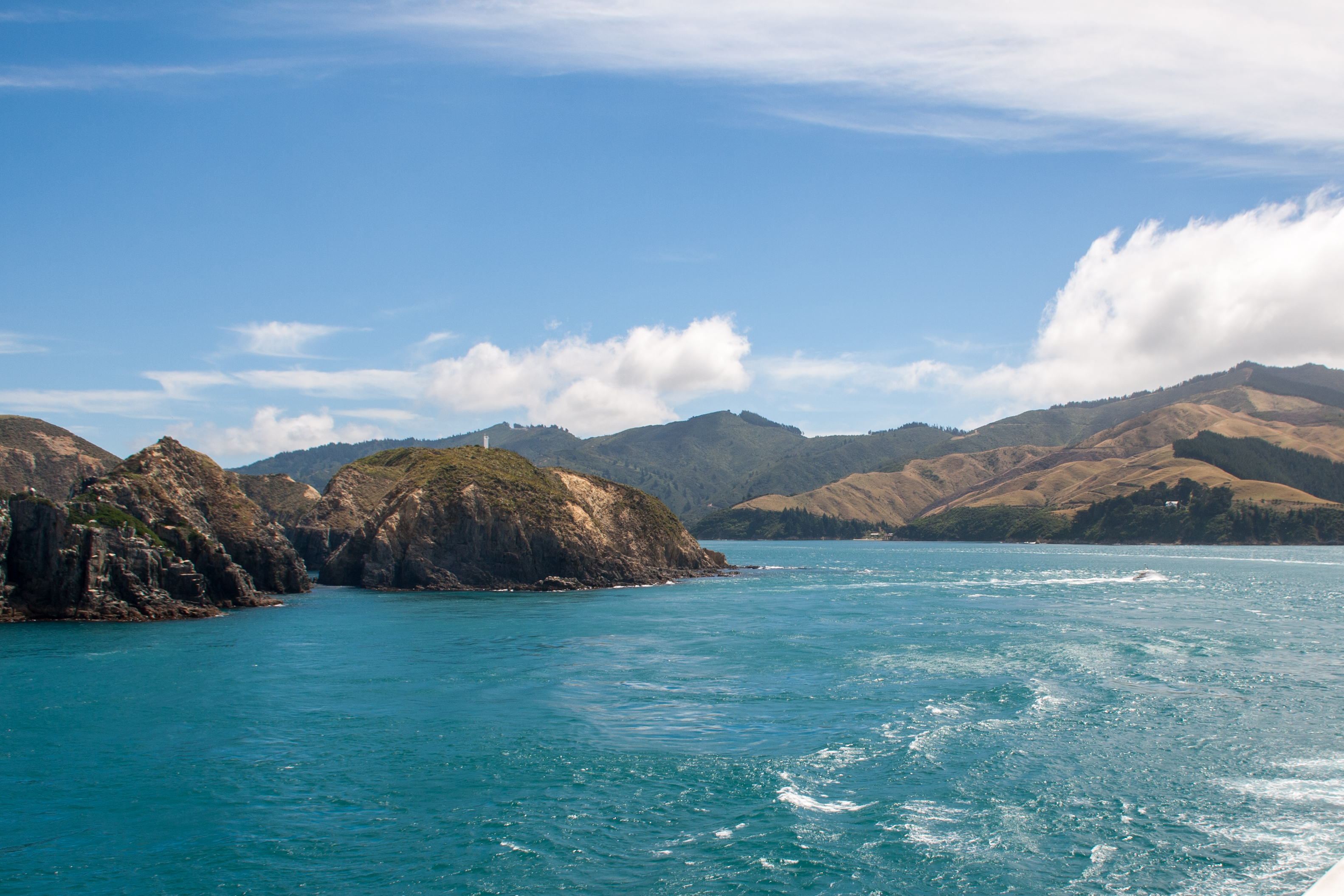 Interislander oder Bluebridge Fähre