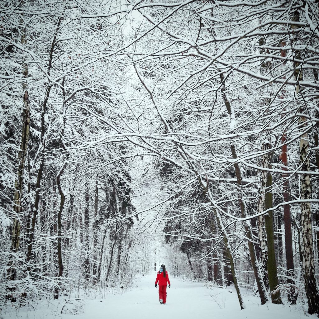 Jahresrückblick 2017: Dresdner Heide Winter