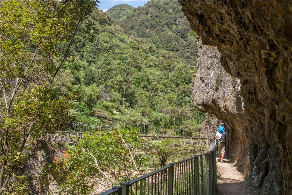 Wandern mit Kind in Neuseeland Karangahake Windows Walk