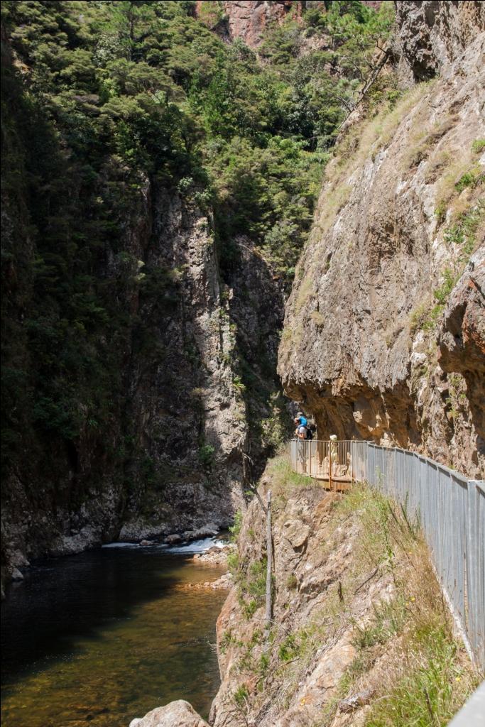 Wandern mit Kind in Neuseeland Karangahake Windows Walk