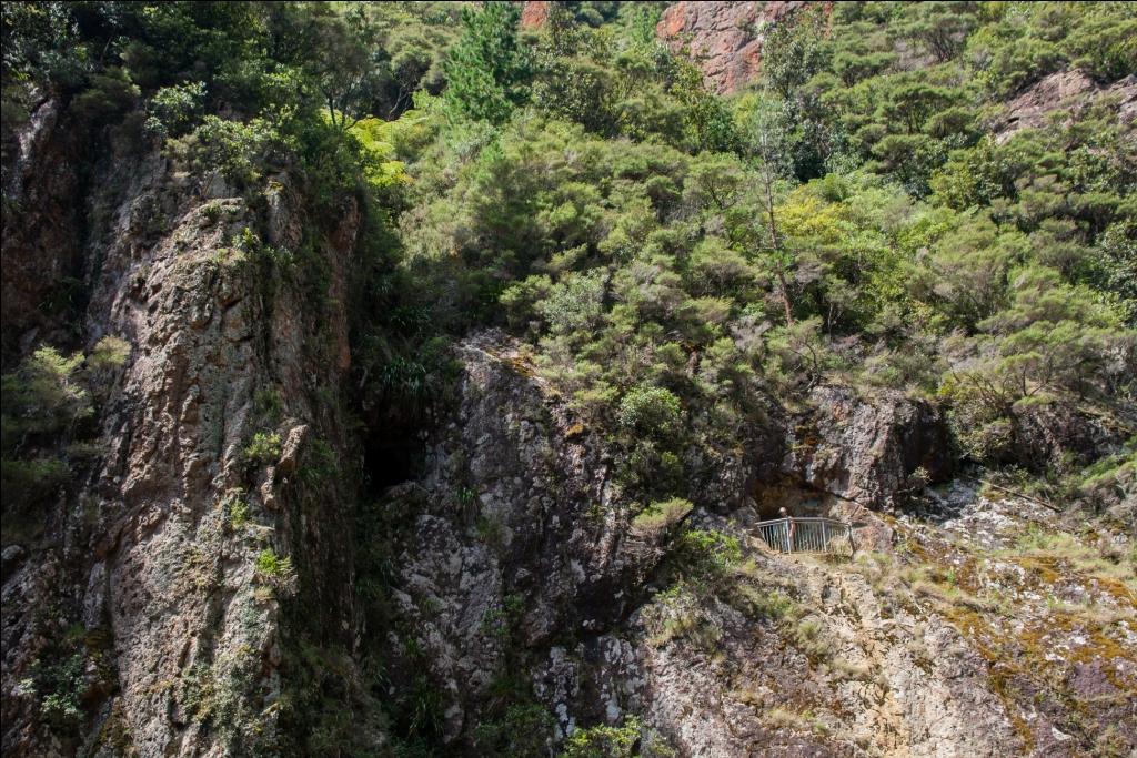 Wandern mit Kind in Neuseeland Karangahake Windows Walk