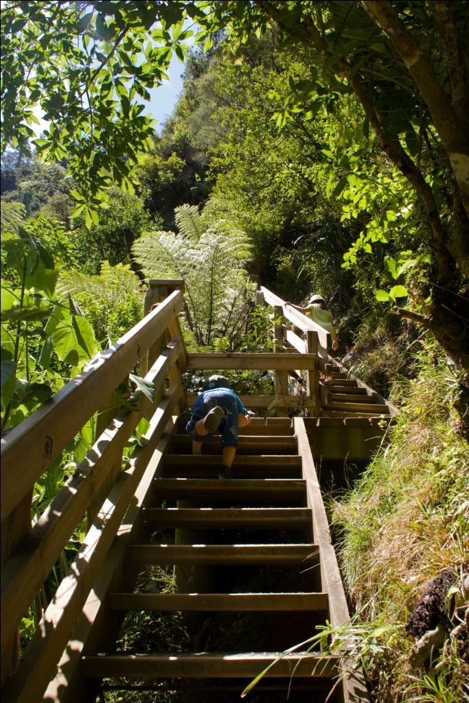 Wandern mit Kind in Neuseeland Karangahake Windows Walk