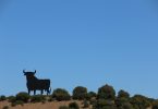 Andalusien Stier El Toro