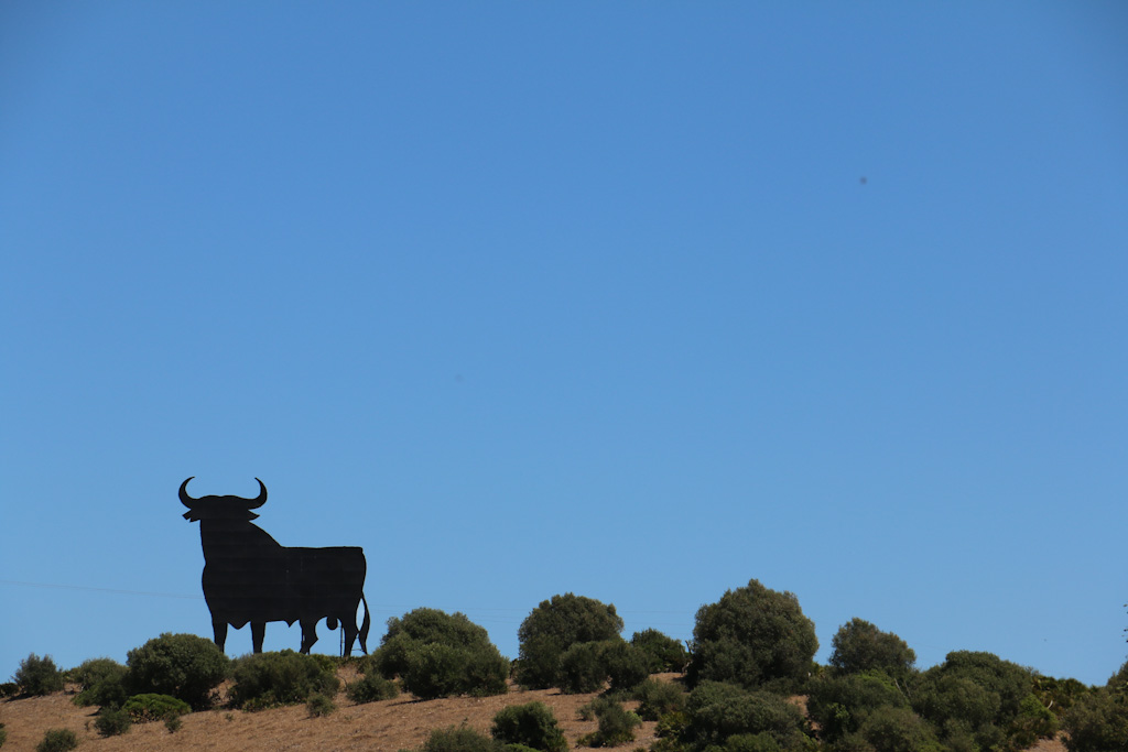 Andalusien-Highlights Stier El Toro