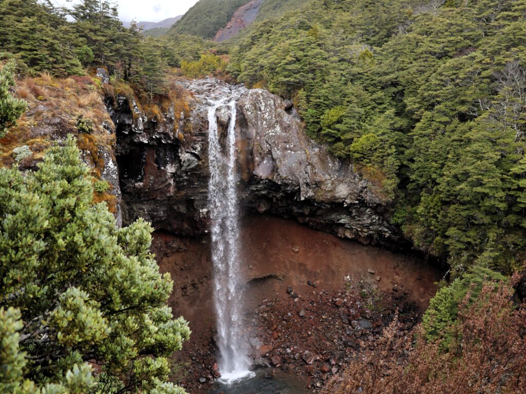 Ohakune mit Kindern Tongariro National Park
