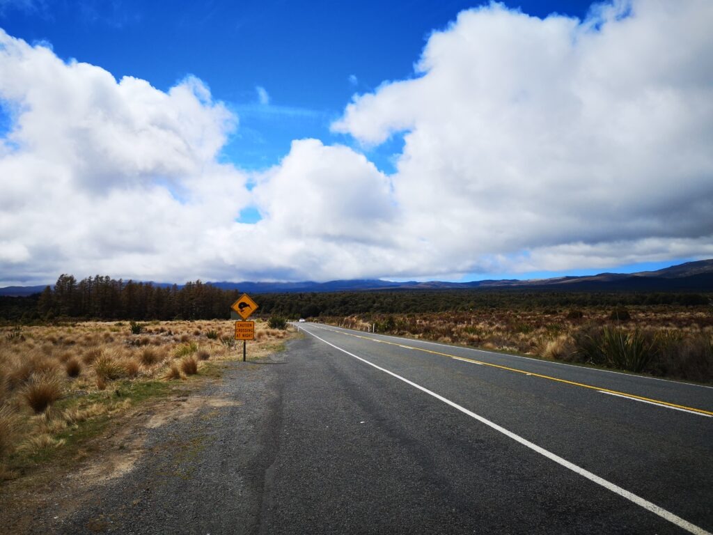 Whakapapa mit Kindern Tongariro National Park