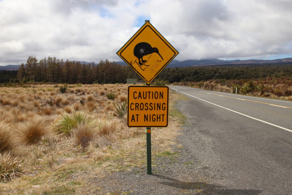 Whakapapa mit Kindern Tongariro National Park