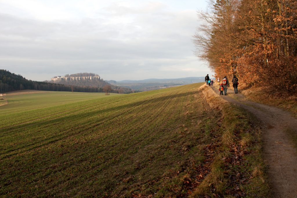 Pfaffenstein Wanderungen in der Sächsischen Schweiz für Familien