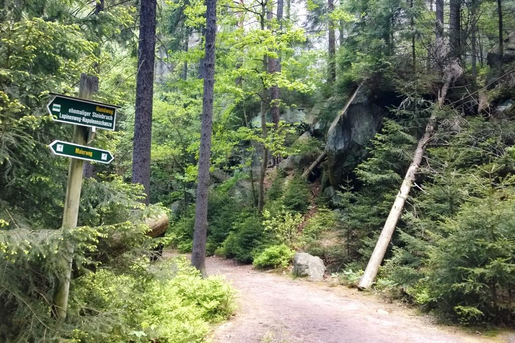 Sächsische Schweiz Wandern mit Kindern