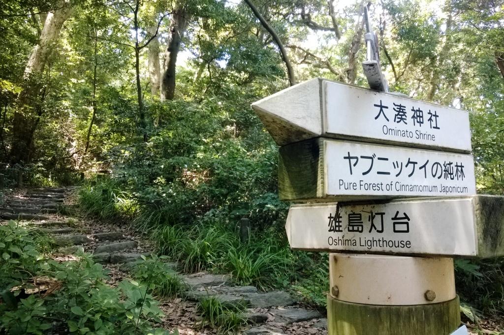 Das echte Japan kennenlernen - mit Campervan, Airbnb & Co. 11 Das echte Japan kennenlernen Mikune Island