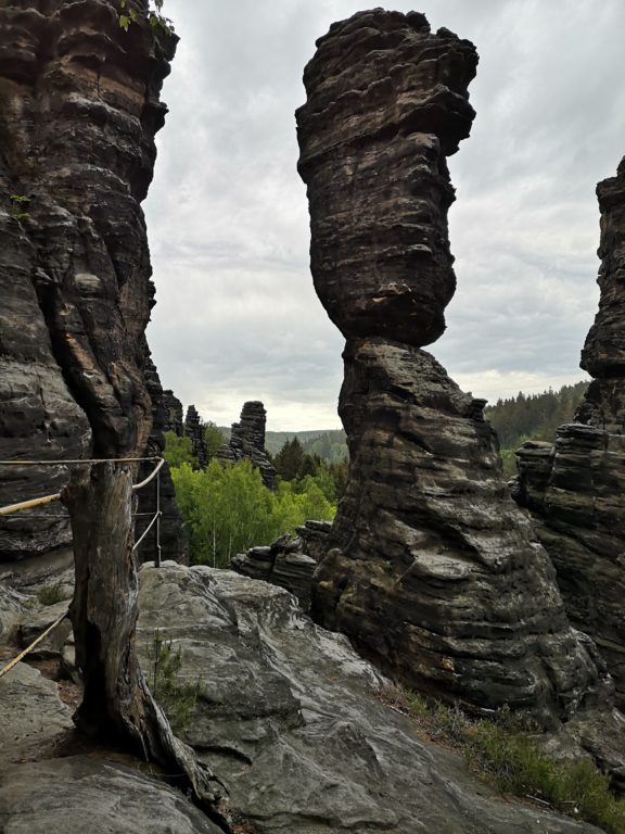 Vergesst die Bastei: diese 8 Naturwunder der Sächsischen Schweiz müsst ihr besuchen 34 Bielatal Herkulessäulen