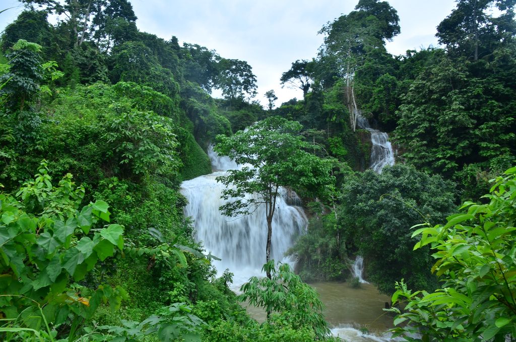 Nachhaltig reisen nach Vietnam Fairaway