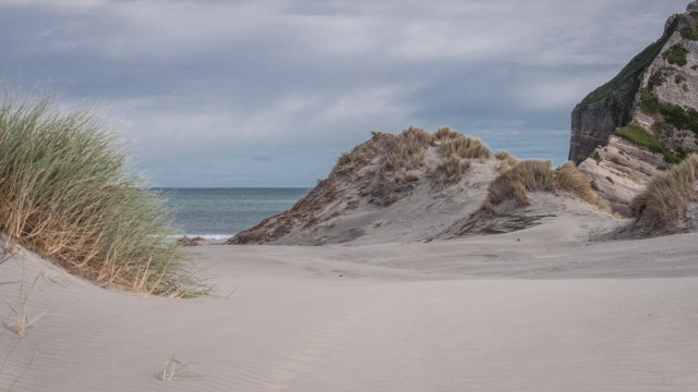 Neuseeland für Familien Wharariki Beach