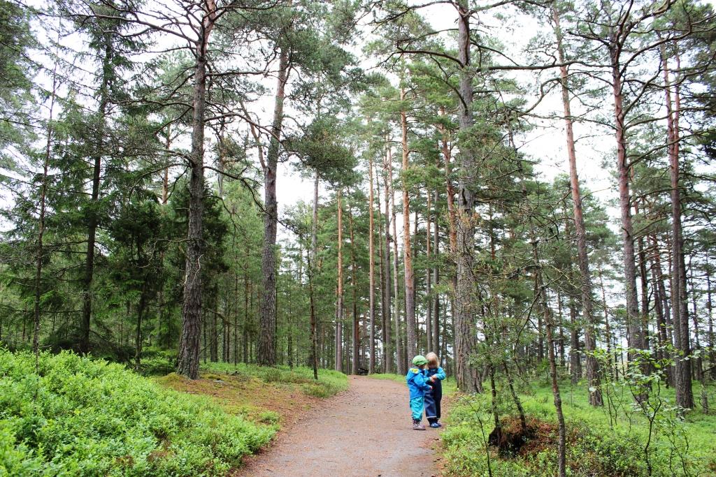 Urlaub in Smaland mit Kindern Store Mosse Waldspaziergang