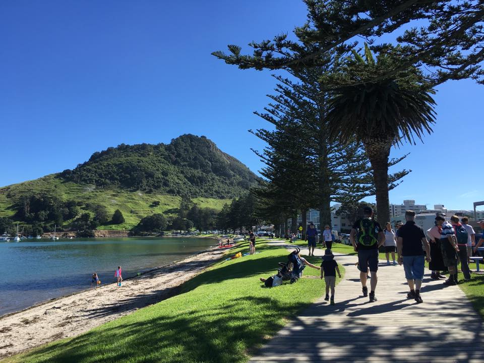 Neuseeland Highlights für Kinder: 31 Nordinsel Must dos 3