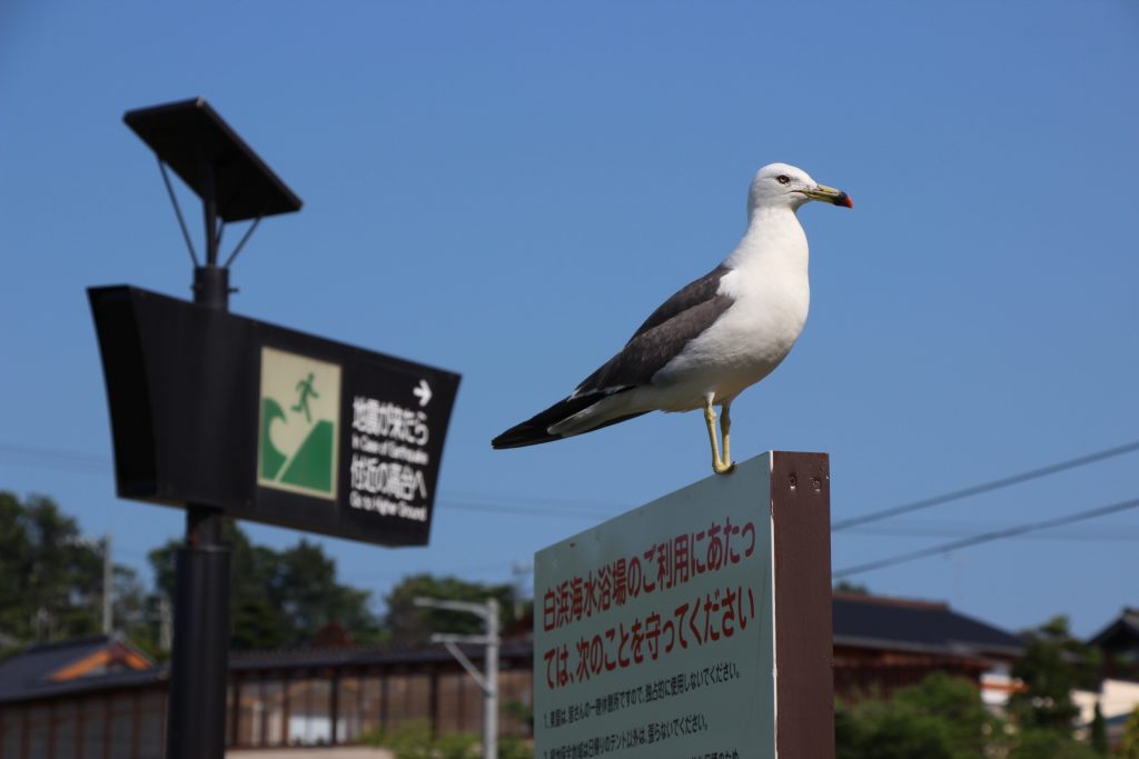 Japan Route Tohoku Sanriku Coast