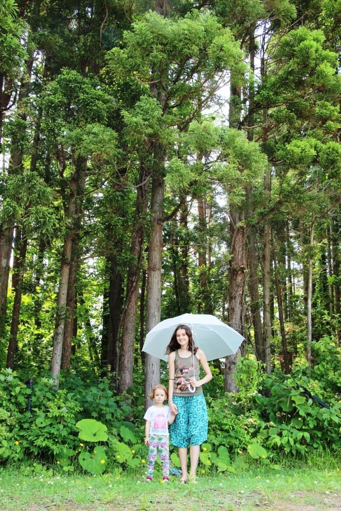 Sommer in Japan Regenschirm Zedern Totoro