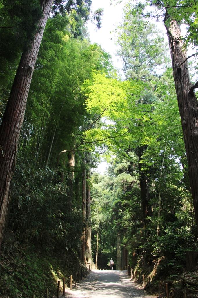 Sommerurlaub in Japan - mit diesen Tricks bleibt ihr cool 9 Sommer in Japan Chuzon-ji Hiraizumi Zedern