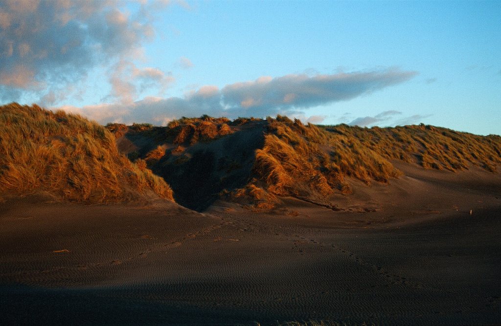 Nur in Neuseeland Kawhia Hot Water Beach