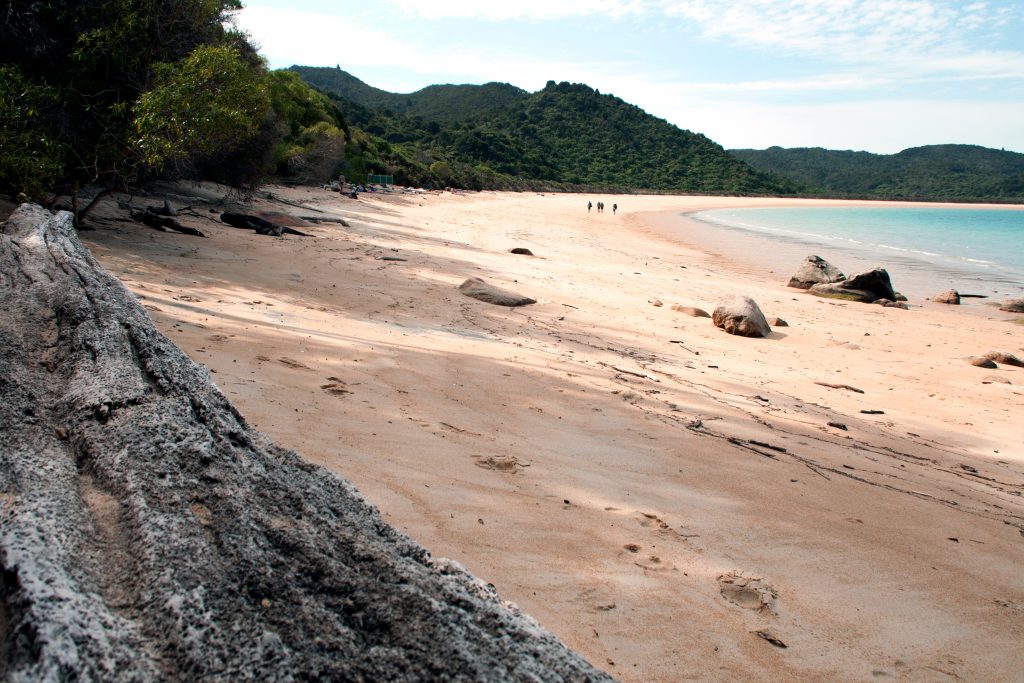 Familien-Favoriten auf der Südinsel Neuseeland Abel Tasman