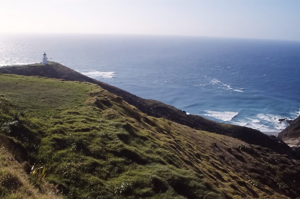 Neuseeland Roadtrip Cape Reinga