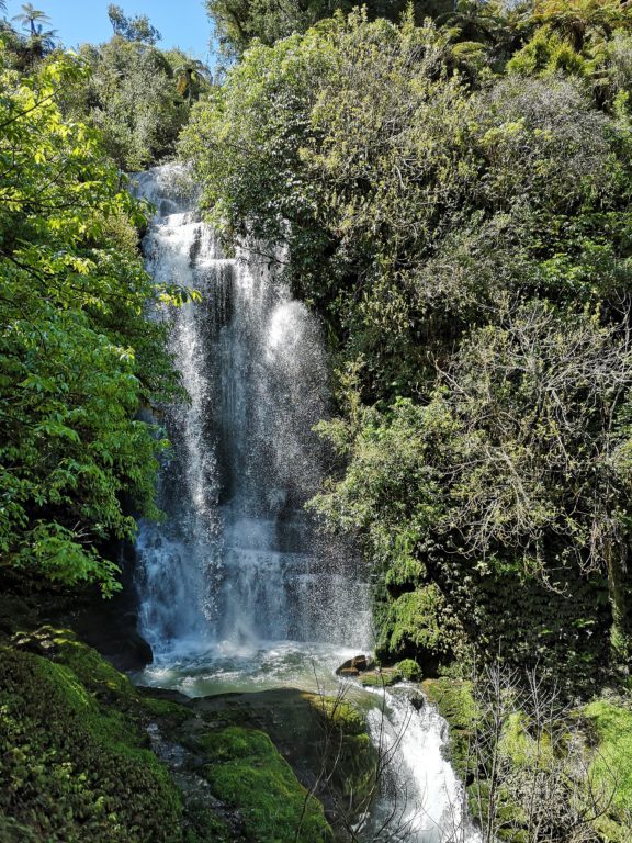 King Country: 11 Abenteuer abseits der Waitomo Caves 45 Waitanguru Falls Piopio