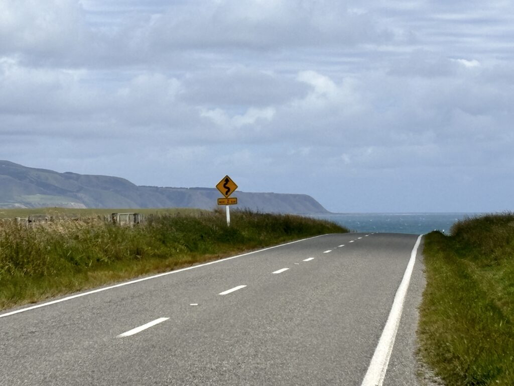 Neuseeland-Roadtrips: 14 tolle Routen zum Nachfahren 67 Neuseeland-Roadtrip zum Cape Palliser