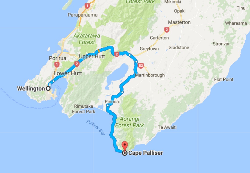 Neuseeland Roadtrip Palliser Road