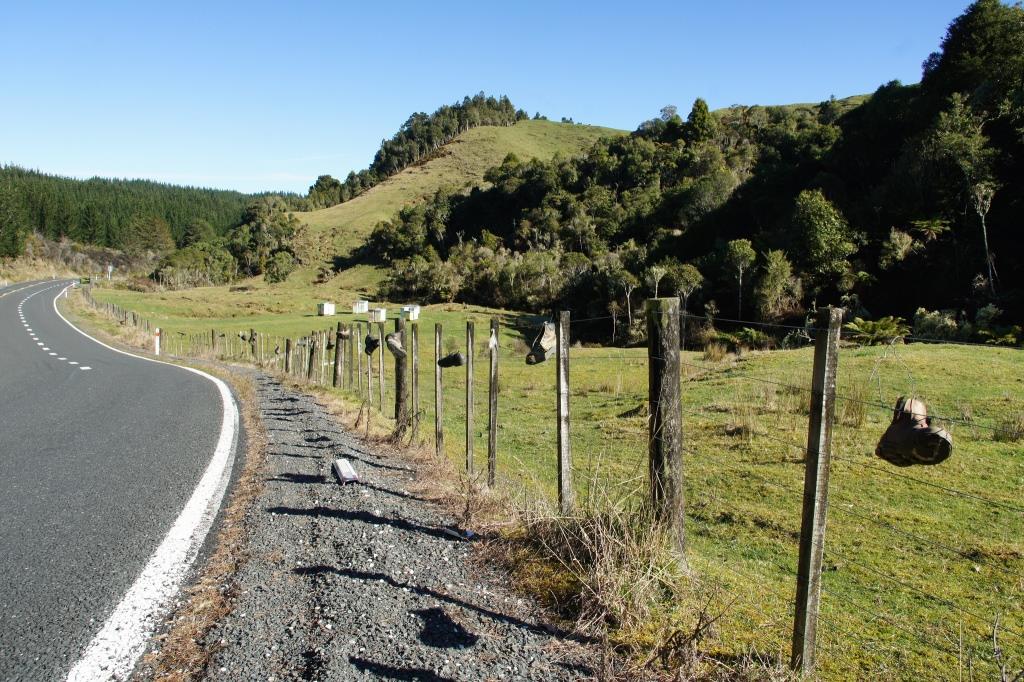 Neuseeland Roadtrip King Country