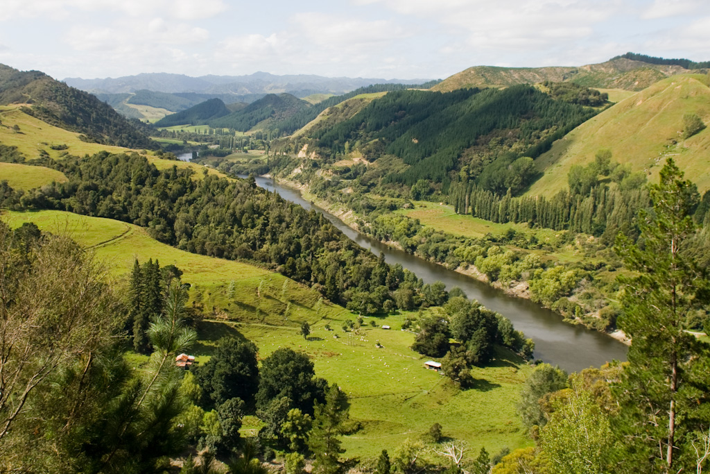 Neuseeland Roadtrip Whanganui River Road