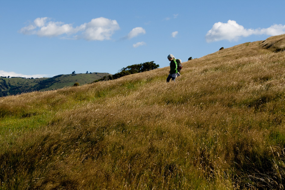 Kinder in Neuseeland Dunedin Otago