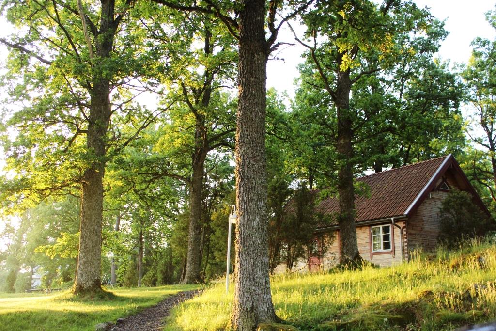 Småland mit Kindern: Zu-Hause-Feeling im Zimtschneckenhaus 2 Smaland-Ferienhaus