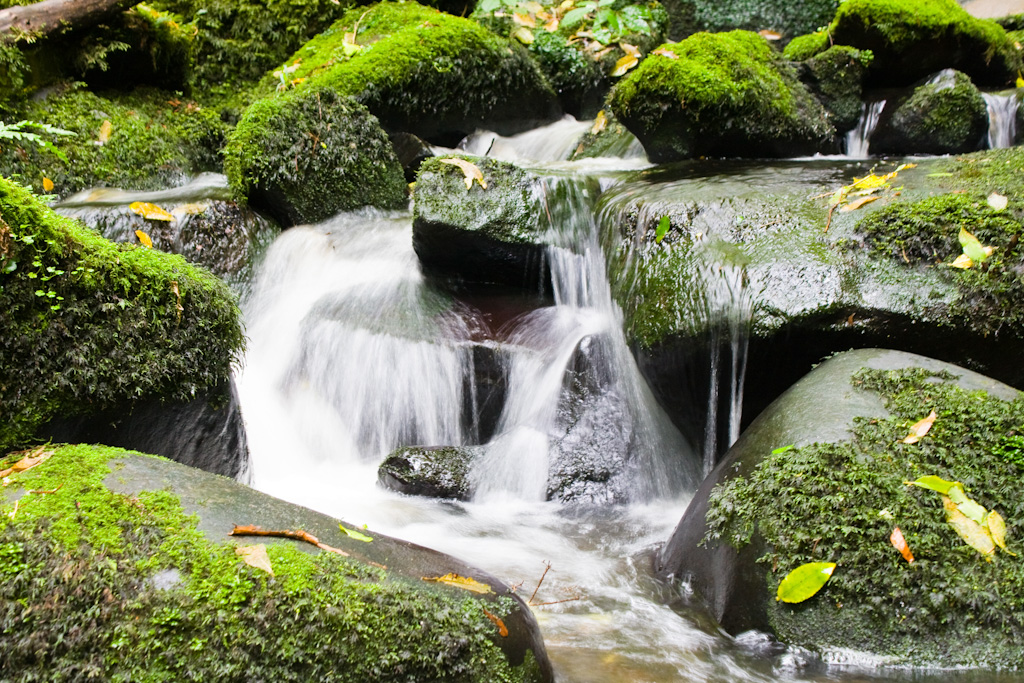Catlins Wasserfall Frühling in Neuseeland