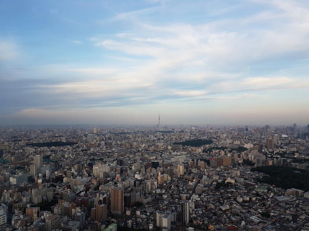 Tokio Skyline Sky Circus