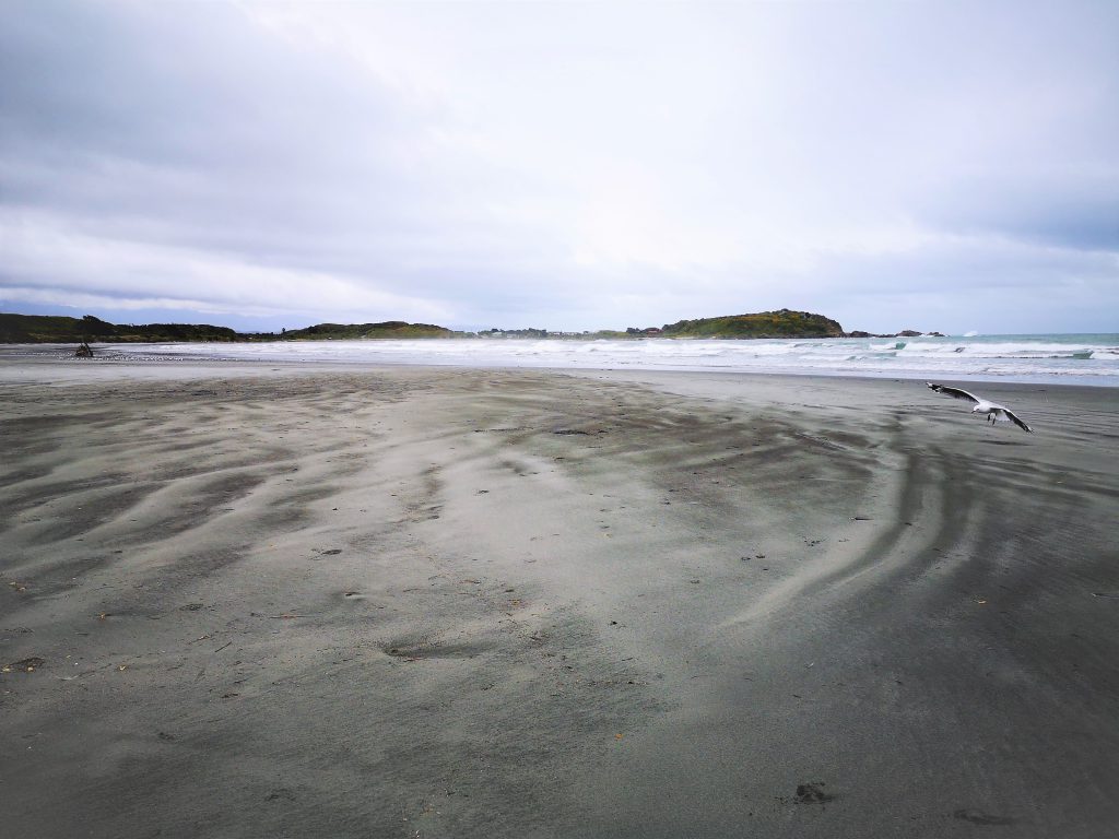 Die 19 schönsten Wanderwege in Neuseeland für Familien 27 Cape Foulwind Westcoast