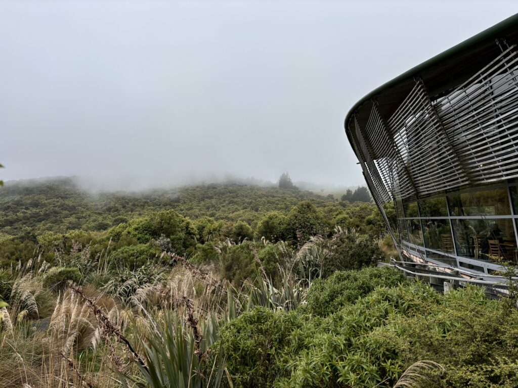 Einen Kiwi in Neuseeland sehen: an diesen 27 Orten geht das 17 Orokonui Sanctuary Dunedin