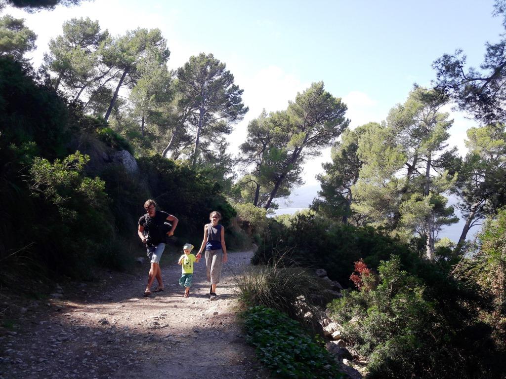 Wandern auf Mallorca Talaia de Alcudia