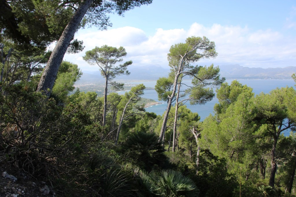 Wandern auf Mallorca Talaia de Alcudia
