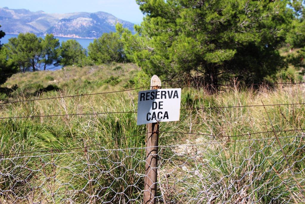 Wandern auf Mallorca Talaia de Alcudia