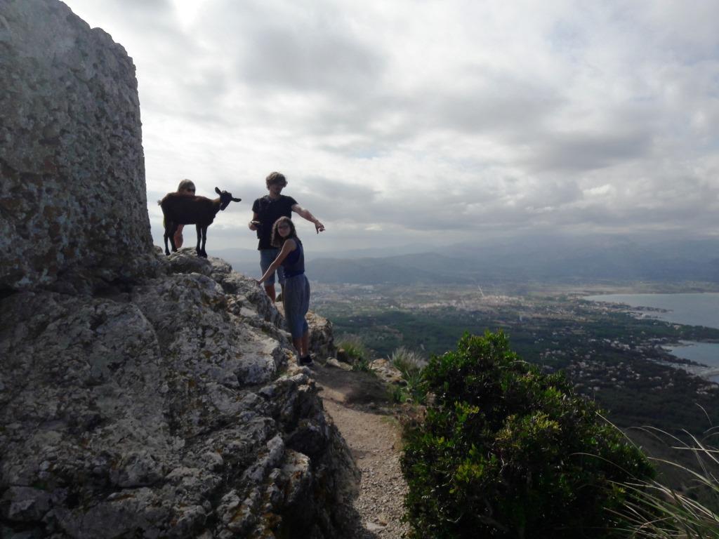 Wandern auf Mallorca Talaia de Alcudia