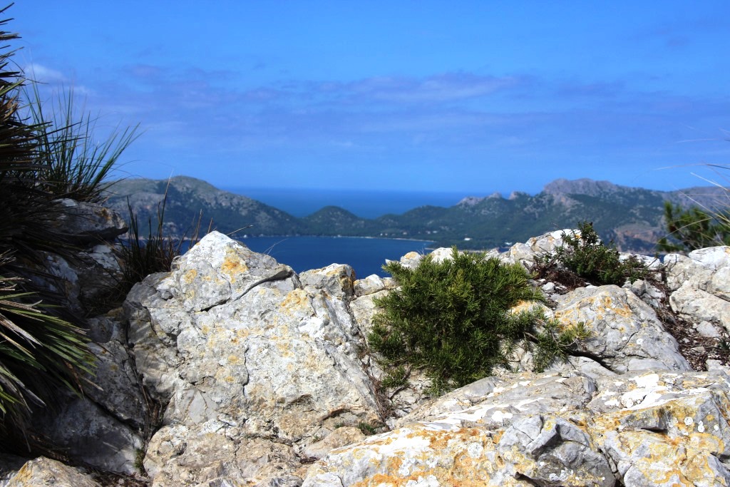 Wandern auf Mallorca Talaia de Alcudia