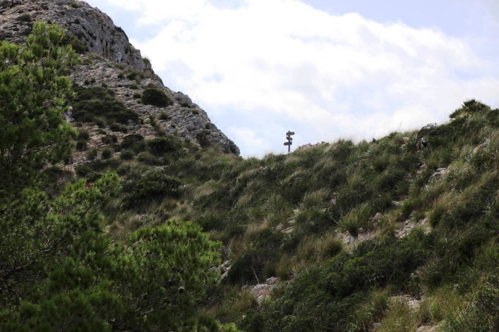 Wandern auf Mallorca Talaia de Alcudia