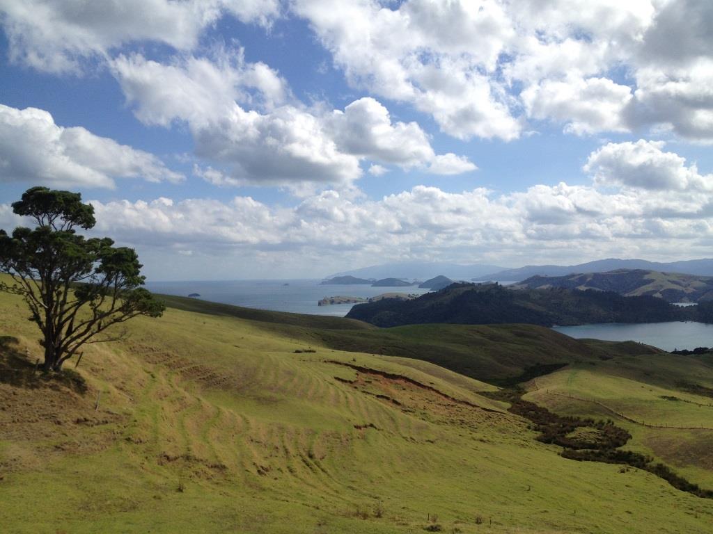 Besten Wanderwege in Neuseeland Mount Manaia Whangarei